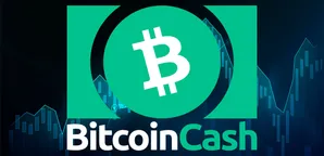 بیت‌ کوین‌ کش با جهش ۴۰ درصدی بهترین دارایی لایه‌یک سال شد