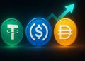 ارزش بازار استیبل کوین‌ها به رکورد ۳۱۰ میلیارد دلار رسید