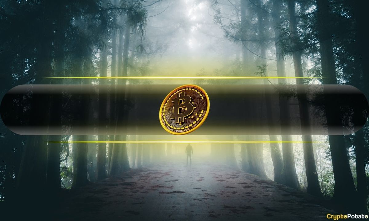 محققان امنیت سایبری دسترسی به کیف پول بیت کوین را بعد از ۱۱ سال بازیابی کردند