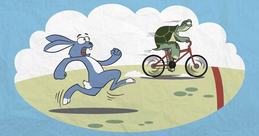 آشنایی با لاکپشتها و خرگوشها در بازارهای مالی آشنایی با لاکپشتها و خرگوشها در بازارهای مالی