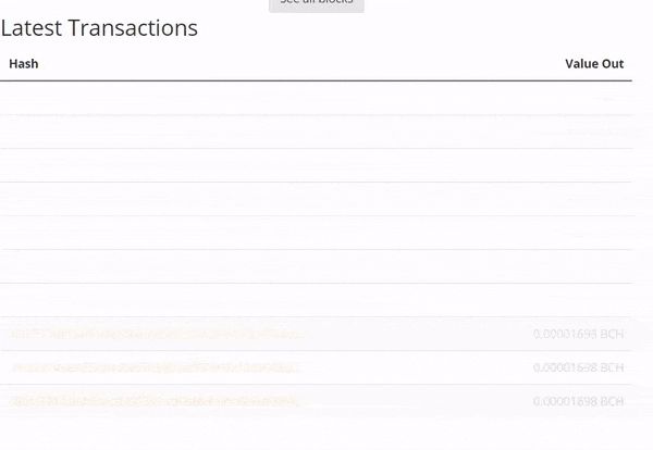 وضعیت پس از هاردفورک؛ از دو بلاک چین رقیب بیت کوین کش چه می‌دانیم؟