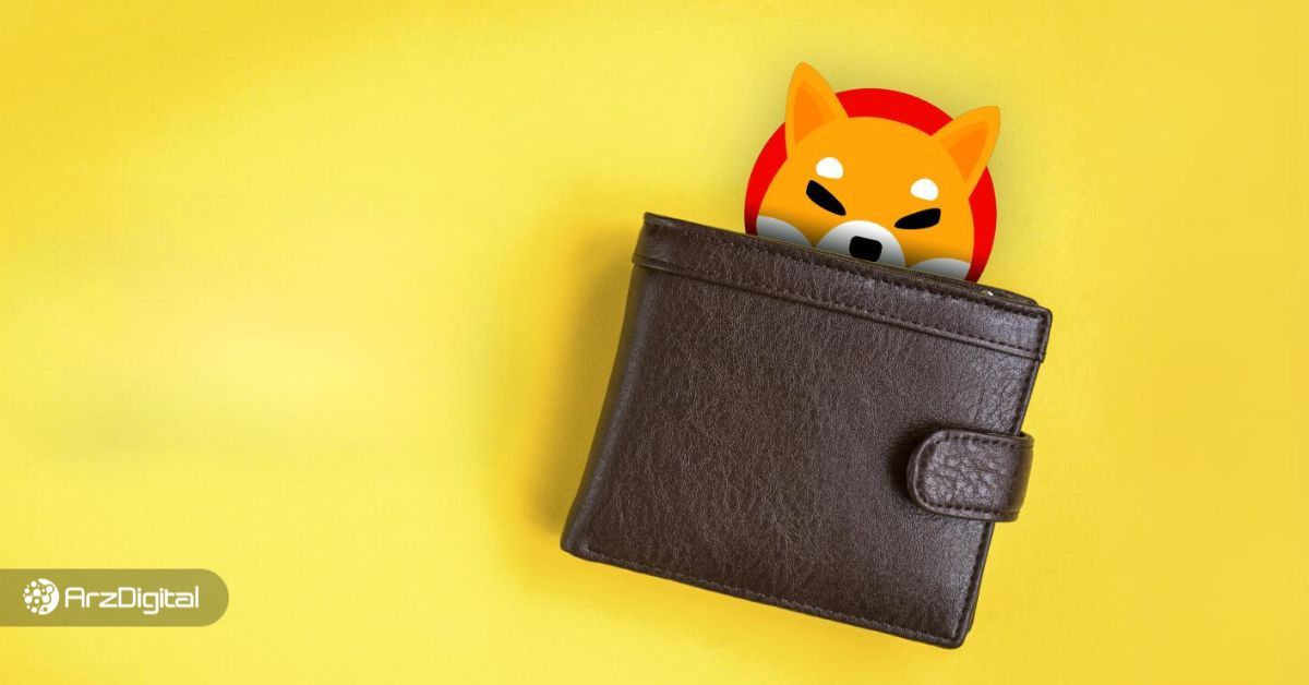 بهترین کیف پول های شیبا اینو