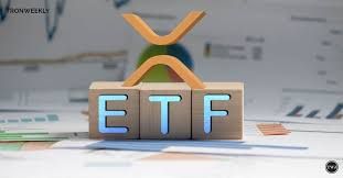 مدیرعامل ریپل: ETF ریپل احتمالا تا سال ۲۰۲۵ راه‌اندازی خواهد شد