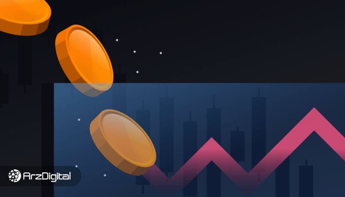 زیان غیردائمی