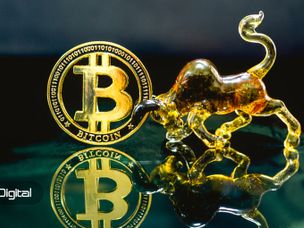 پلن‌بی: قیمت واقعی بیت کوین ۲۵,۰۰۰ دلار است