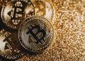پیشی گرفتن بیت کوین از طلا؛ پادشاه ارزهای دیجیتال انتخاب اول آمریکایی‌ها شد
