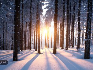 چرا مهمترین رویداد ارزهای دیجیتال در سال ۲۰۱۸ سقوط بازار نبود؟