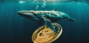 افزایش شدید حجم خرید نهنگ‌ها در دوج کوین