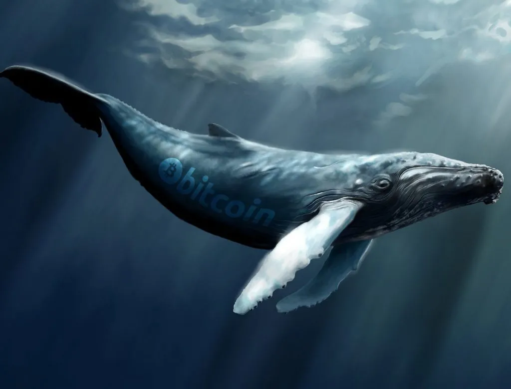 گنجینههای اسرار؛ 9 آدرس کیف پول معروف بیت کوین گنجینههای اسرار؛ 9 آدرس کیف پول معروف بیت کوین