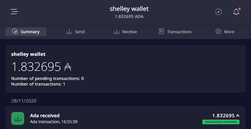 بررسی مشکلات کیف پول های کاردانو پس از بروزرسانی shelley
