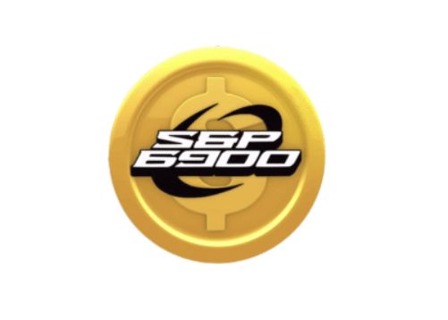 میم کوین SPX6900