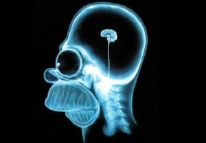 سرنوشت بیت کوین طی بیست سال آینده چه خواهد شد؟