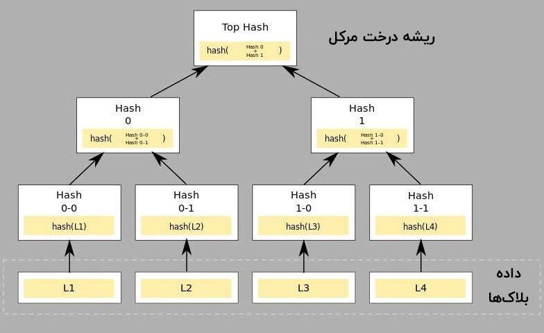 ریشه درخت مرکل