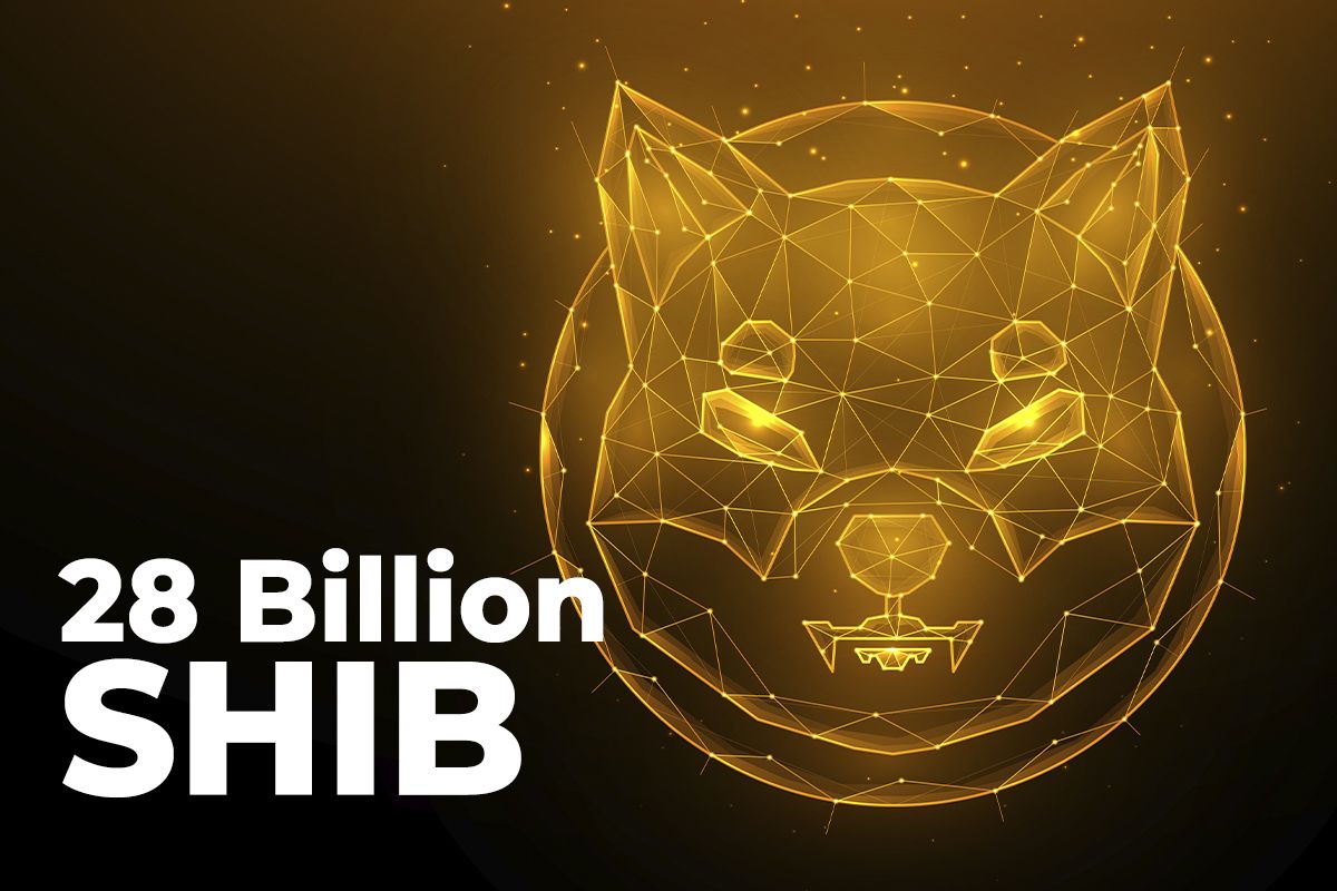 انتقال ۲۸ میلیارد شیبا اینو توسط نهنگ‌های ناشناس