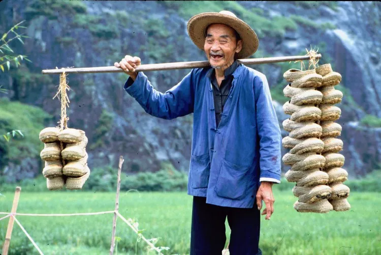 چرا هوش مصنوعی انفجاری در شغلهای جدید ایجاد خواهد کرد؟ چرا هوش مصنوعی انفجاری در شغلهای جدید ایجاد خواهد کرد؟