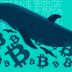 احتمال فروش بیت‌ کوین توسط سرمایه‌گذاران خرد؛ نهنگ‌ها فعلا عقب نشسته‌اند