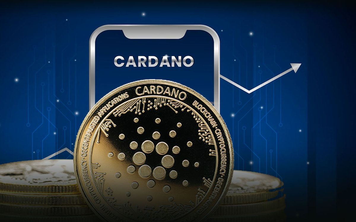 کاردانو طی ماه گذشته برترین پروژه از نظر فعالیت‌های توسعه‌ای بوده است