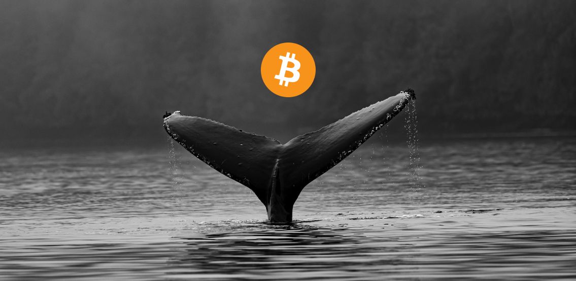 خرید ۶۰,۰۰۰ واحد بیت کوین توسط نهنگها در هفته گذشته