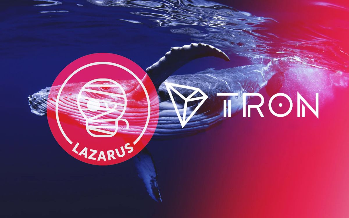 گروه لازاروس پس از هک صرافی کوینکس به نهنگ ترون تبدیل شده است