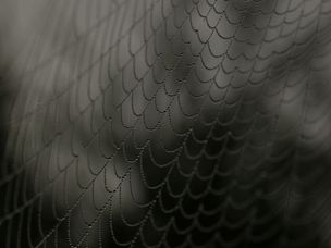 فروش اطلاعات ۱۳۰ میلیون نفر در دارک وب با دریافت بیت کوین !