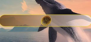 یک نهنگ خفته ۳۸۰ میلیون دلار بیت را منتقل کرد
