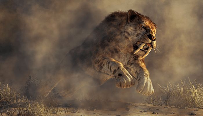 هک بایننس: بیت کوین جوابی نداشت!