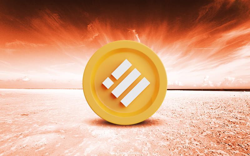 ارزش بازار بایننس یو‌اس‌دی به زیر ۱۰میلیارد دلار سقوط کرد