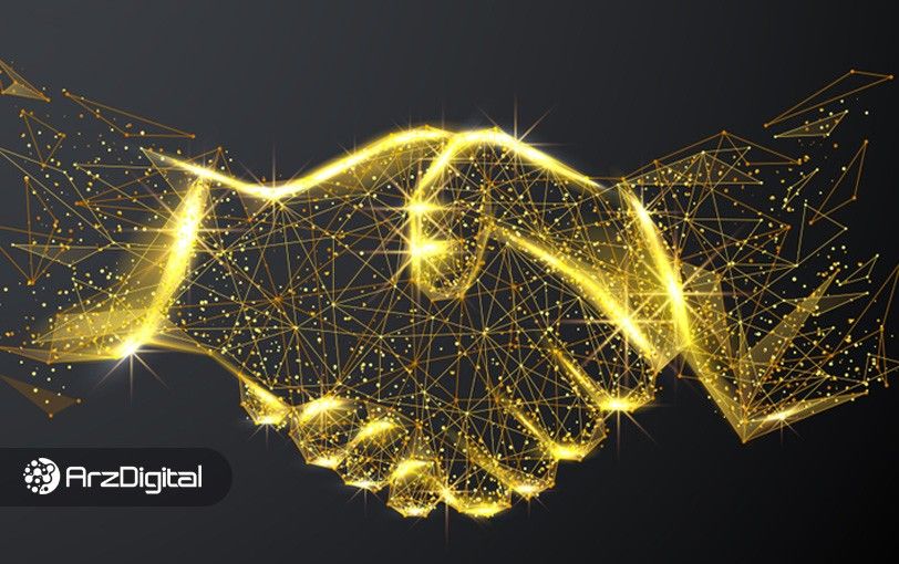 اثر شبکه‌ای