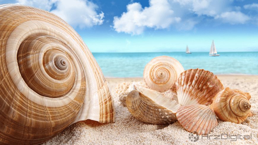 بیت کوین عجیبترین پول دنیا نیست! بیت کوین عجیبترین پول دنیا نیست!