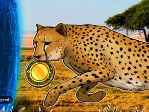بازار ارزهای دیجیتال در آفریقا، گرم است!