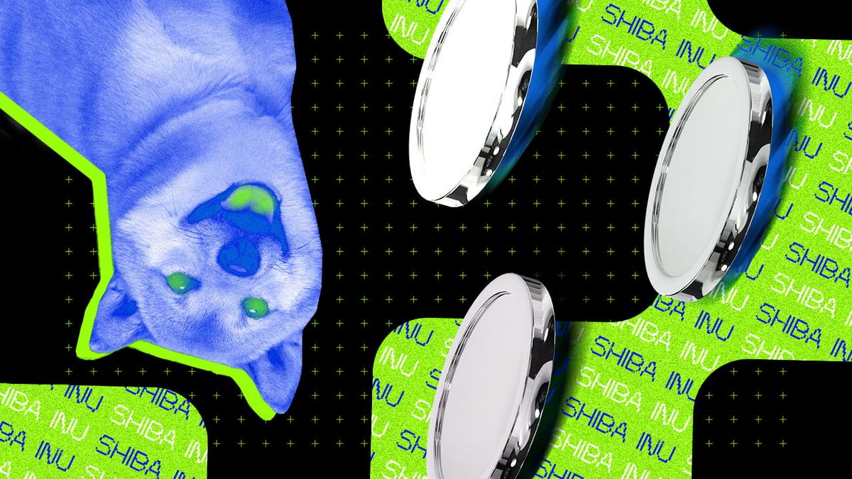 یک کاربر ادعا کرده که توسعه‌دهندگان شیبا، کد بلاک چین شیباریوم را کپی کرده‌اند