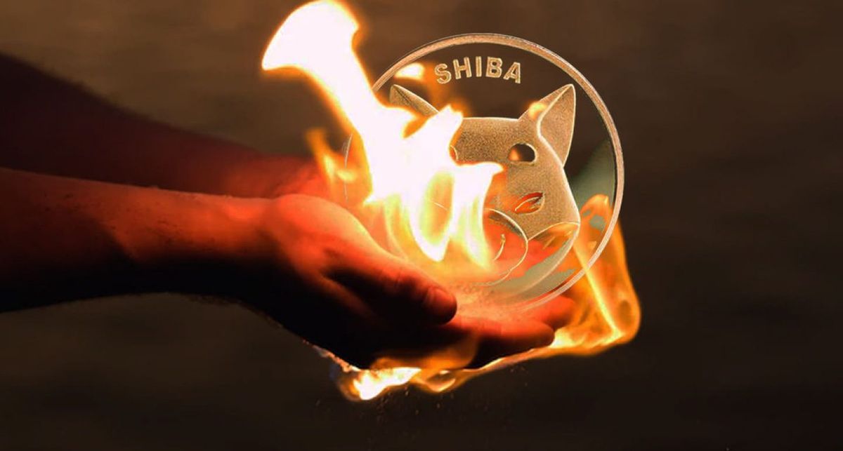 رشد ۲۵۸ درصدی نرخ سوزاندن توکن‌های شیبا اینو