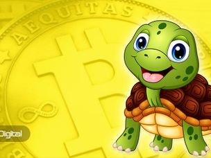 راز فوق سری من در استراتژی ترید لاک‌ پشتی