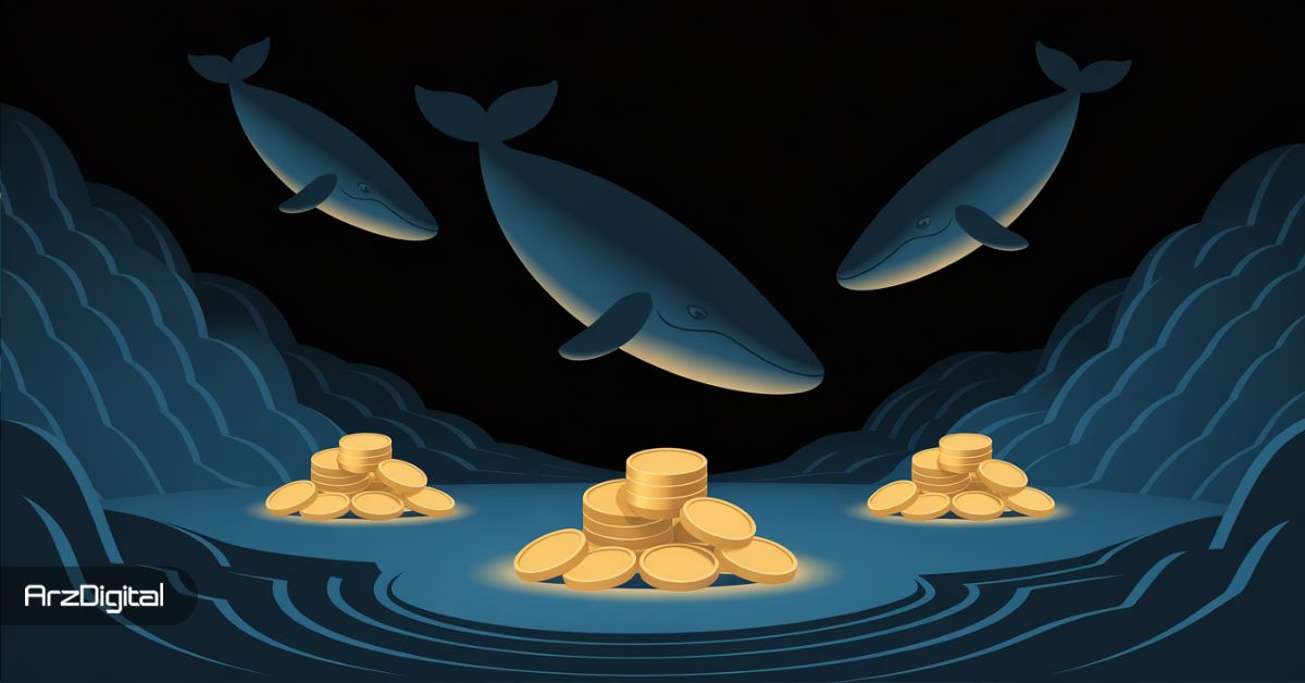 نهنگ‌ها در حال خرید این ۳ آلت کوین قبل از کاهش نرخ بهره هستند