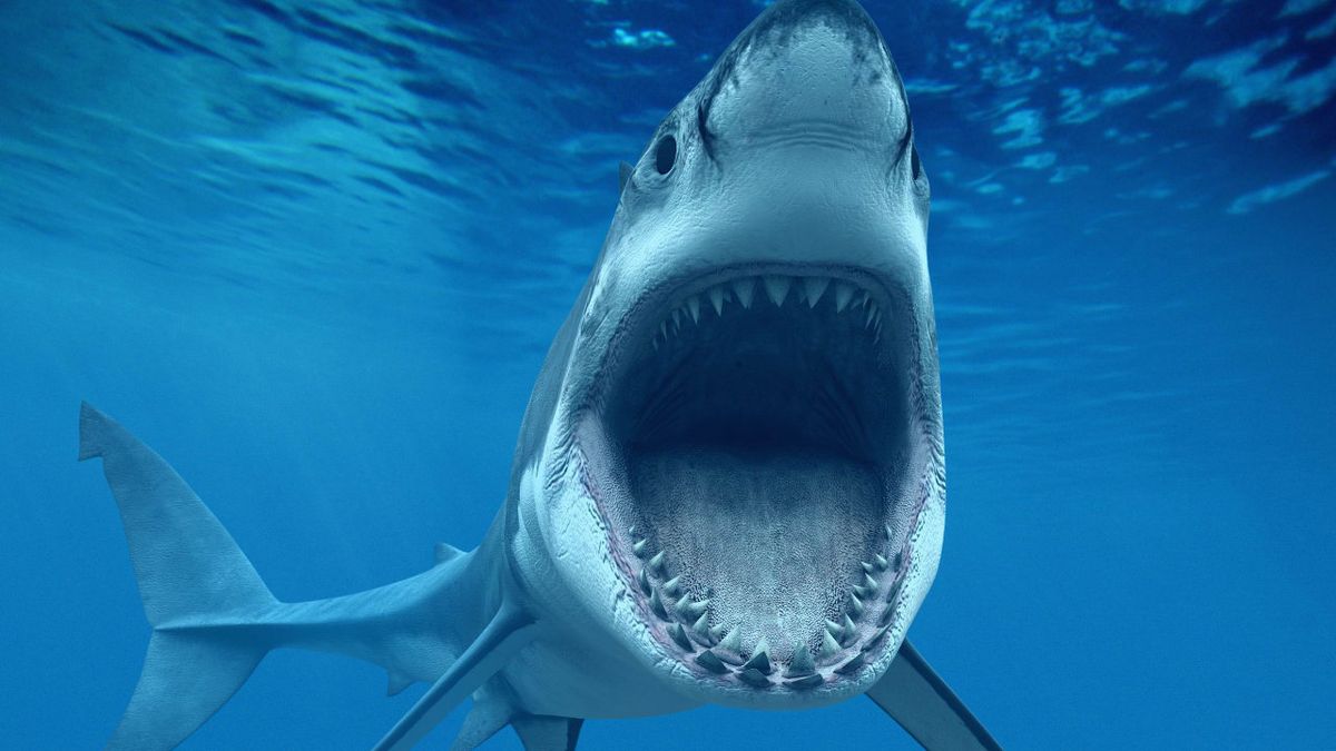 دادستان سابق فدرال: SEC از هیچ اقدامی برای کنترل ارزهای دیجیتال دریغ نخواهد کرد