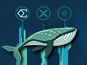 نهنگ‌ها کدام ارزها را برای ماه دسامبر خریدند؟ این ۳ آلت کوین را از دست ندهید!