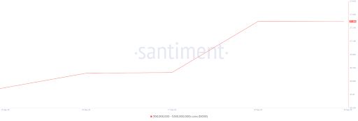 تحلیل آنچین دوچ کوین