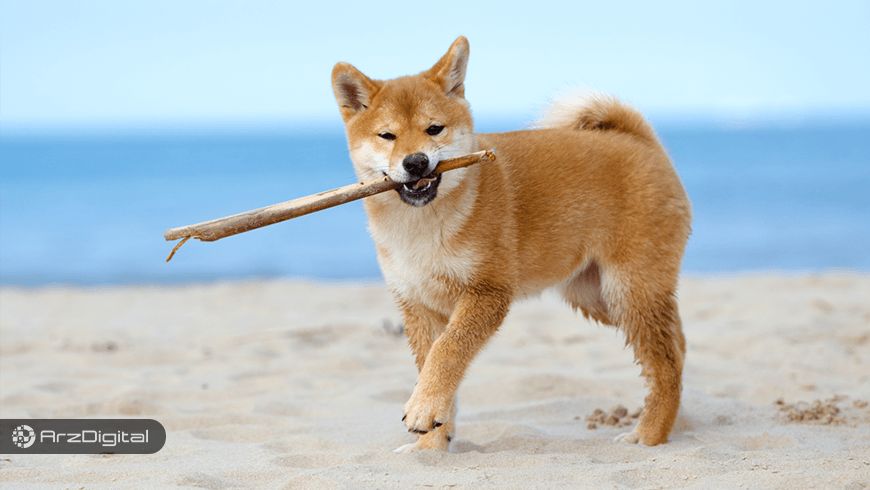 رشد شدید دوج کوین و واکنش جالب یک کاربر توییتری !