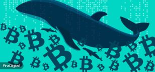 احتمال فروش بیت‌ کوین توسط سرمایه‌گذاران خرد؛ نهنگ‌ها فعلا عقب نشسته‌اند