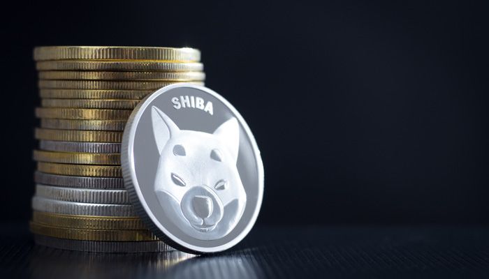 تفاوت‌های دوج کوین و شیبا اینو؛ دو میم‌کوین جنجالی این روزها