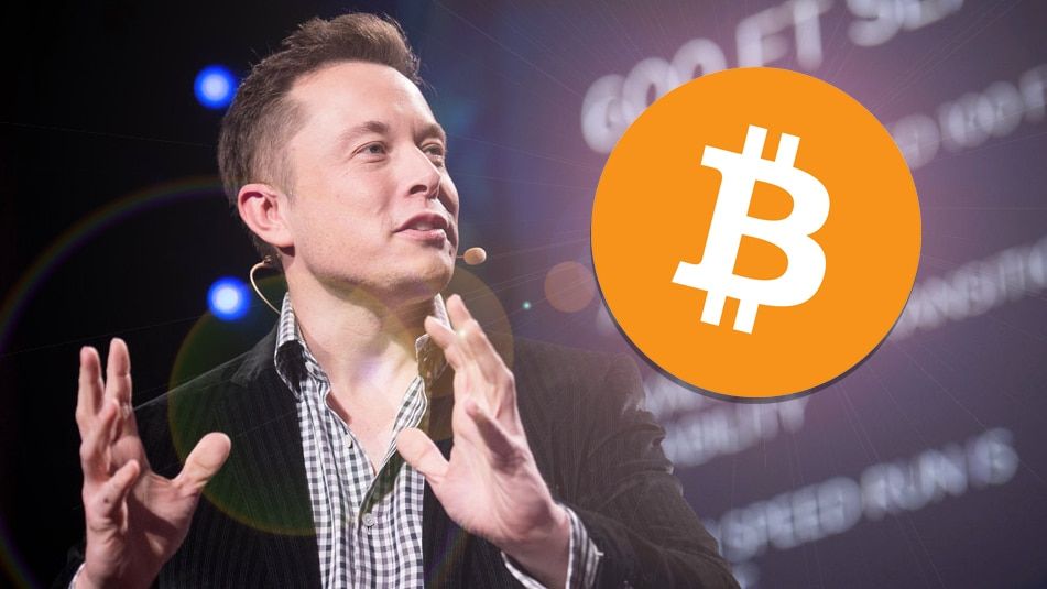 کارآفرین حوزه ارز دیجیتال ایلان ماسک را به دورویی متهم کرد؛ ۱.۵ میلیارد دلار بیت کوین هنوز در ترازنامه تسلا باقی مانده است