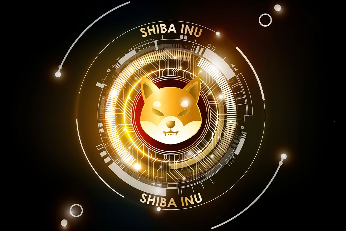 شیبا اینو اوج قیمتی جدیدی را به ثبت رساند