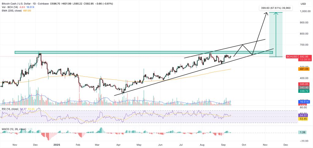 شرکت گریاسکیل درخواست ETF بیت کوین کش را بهروزرسانی کرد تحلیل تکنیکال بیت کوین کش