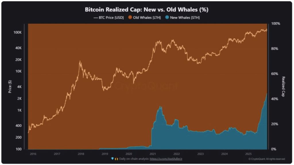 کریپتوکوانت: بازار بیت کوین وارد فاز سرخوشی شده است کریپتوکوانت: بازار بیت کوین وارد فاز سرخوشی شده است