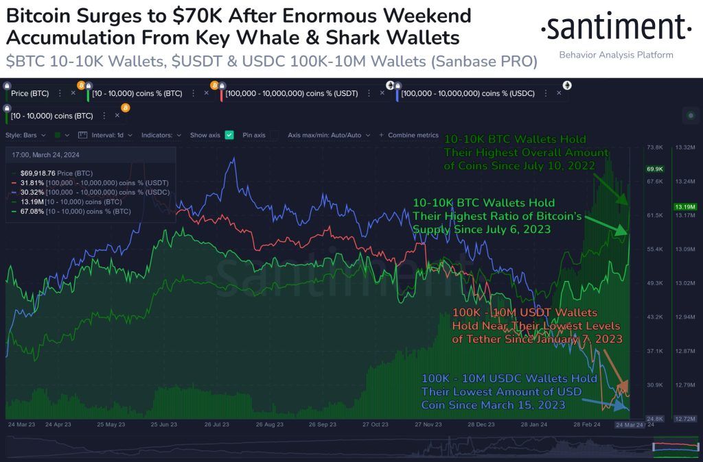 خرید بیت کوین نهنگ ها