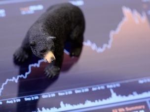 بازار خرسی (Bear Market) چیست؟
