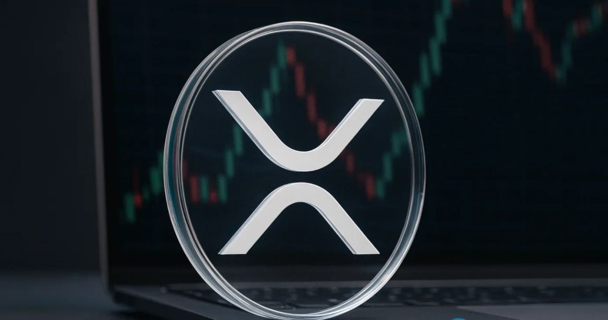 رکوردشکنی ورود سرمایه به ETFهای ریپل؛ جذب ۸۱ میلیون دلار سرمایه جدید