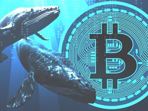 نهنگ‌های بیت کوین در حال فروش هستند؛ نگران سقوط بیشتر قیمت BTC باشیم؟