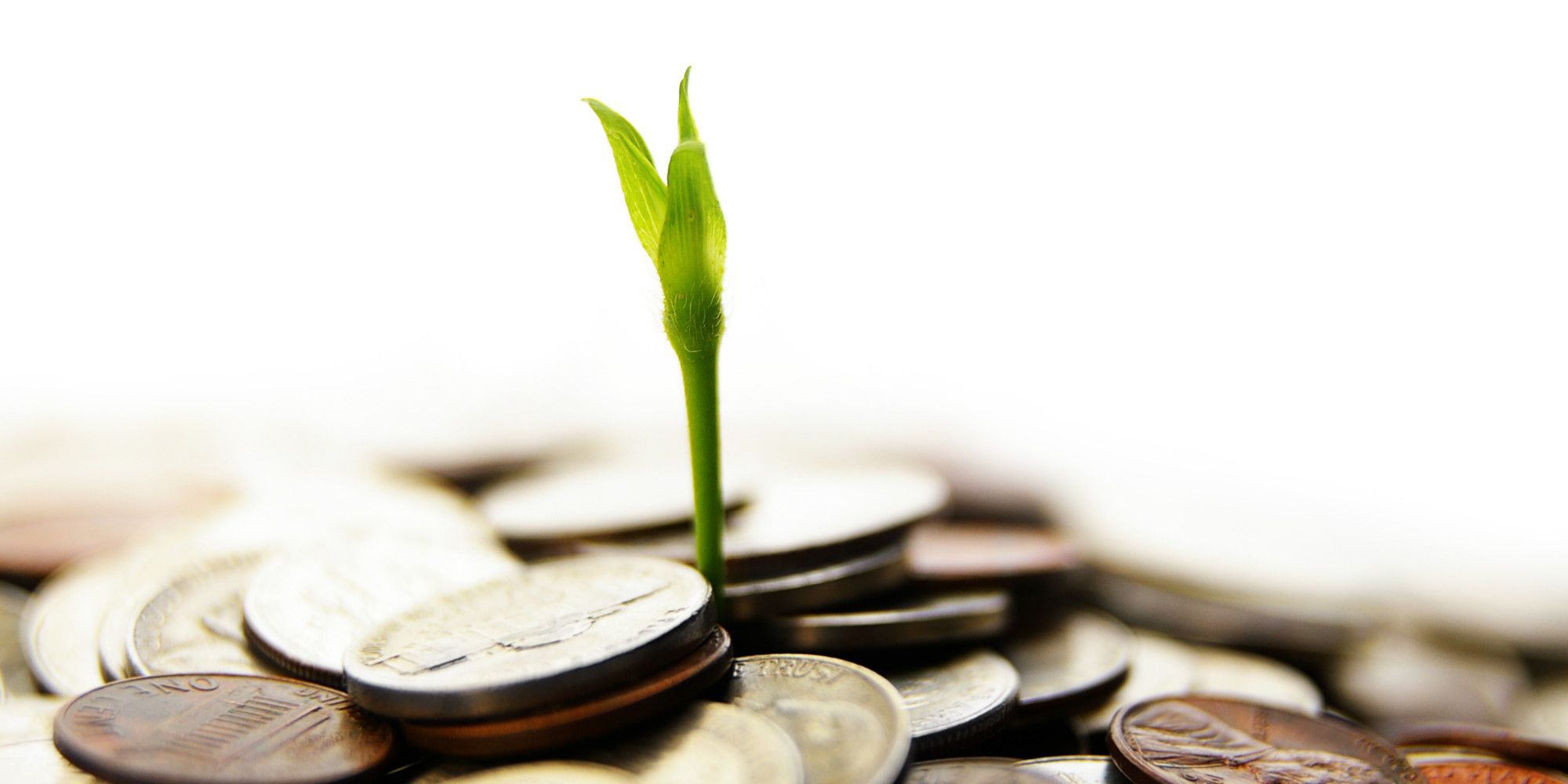 یکی از قانون گذاران حزب حاکم کره جنوبی از پایان ممنوعیت ICOها خبر داد !