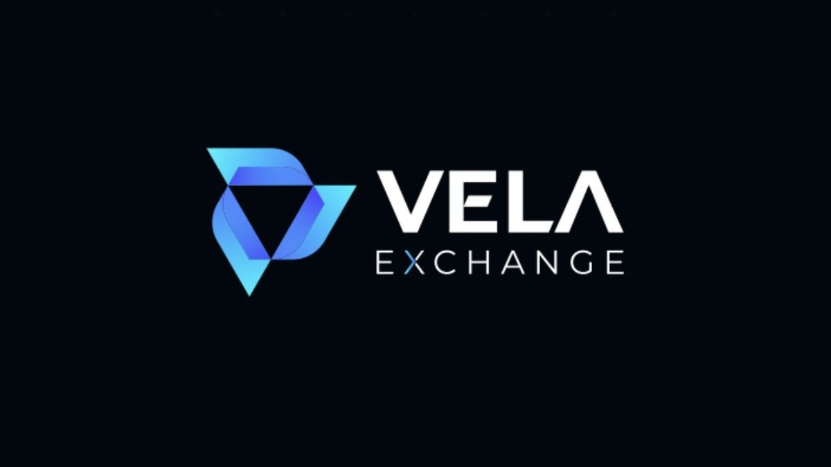 رشد ۵۰ درصدی توکن کاربردی صرافی ولا در آستانه انتشار نسخه بتای آن